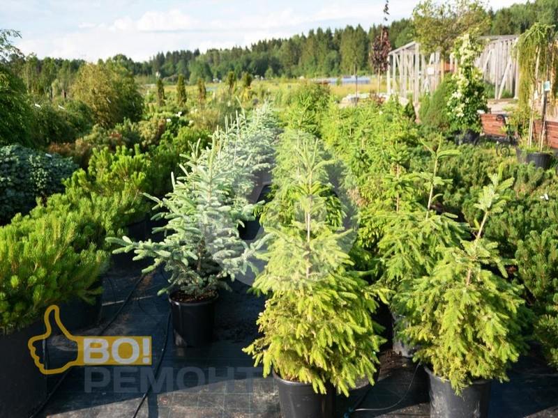 Интересные статьи